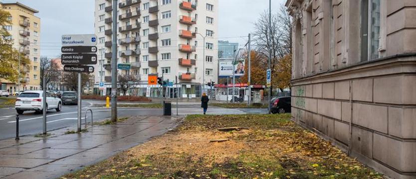 Wycięto lipy z placu Grunwaldzkiego. Szczeciński radny mówi o patologii i interweniuje