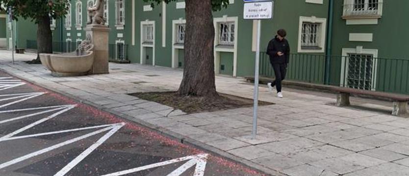 Czy parking przed magistratem naprawdę służy mieszkańcom?