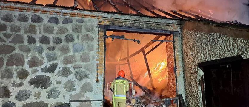 Wszystko poszło z dymem. Spłonęła stodoła, zwierzęta zostały bez jedzenia...
