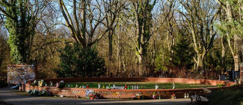Odkomarzanie czas zacząć. Cmentarz na początek