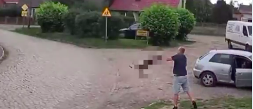 Rzucił psem o ziemię. Wstrząsające nagranie