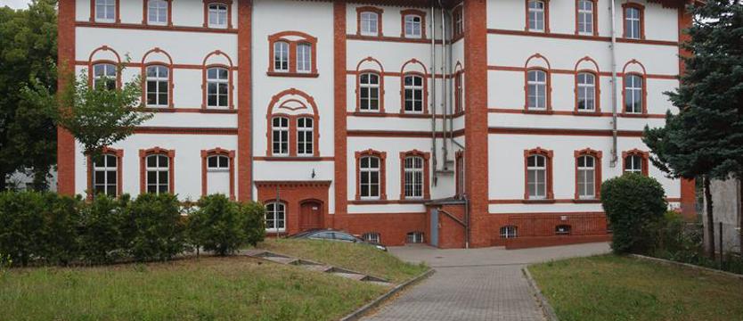 W zielonej perspektywie. Unikanie betonozy, czyli drzewa dla Szczecina