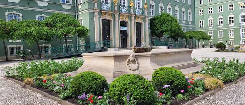 Szczecin w rozkwicie