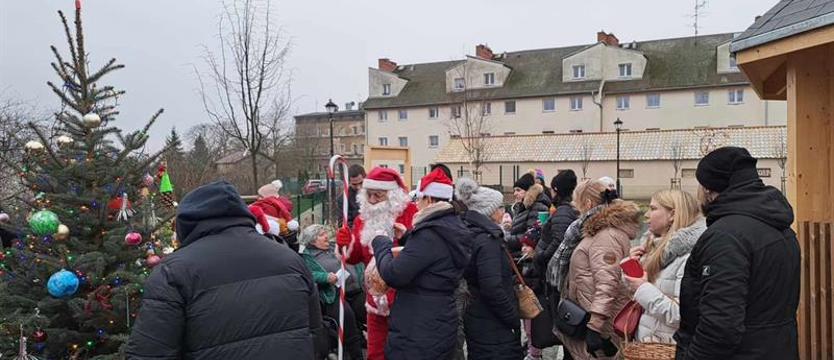 Ubrali stołczyńską choinkę