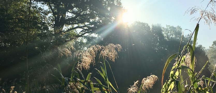 Ostrzeżenie przed upałem. W weekend w regionie temperatura maksymalna w dzień może dojść do 36°C