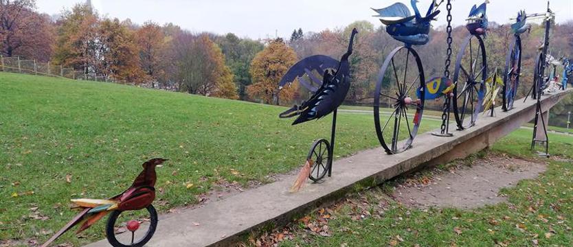 Ptaki pod ochroną