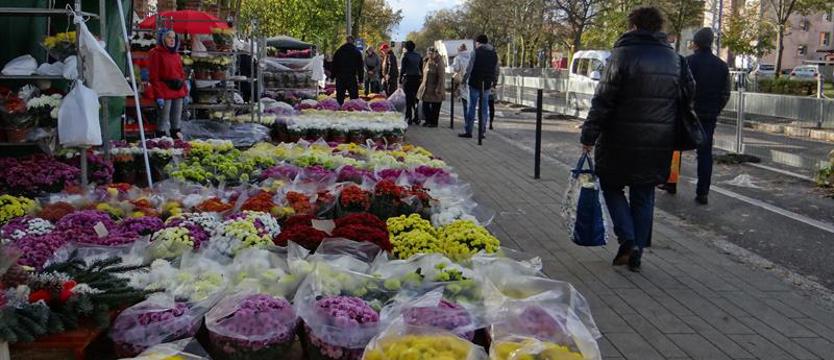 Ile za znicze i chryzantemy?