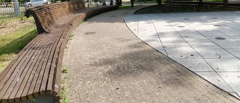 Szczecinianie tęsknią za fontannami