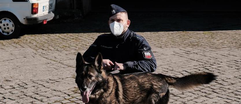 Są wsparciem dla policjanta