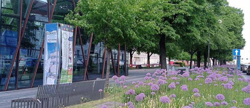 Poznaj Szczecin - cykl niecodziennych spacerów z przewodnikiem 