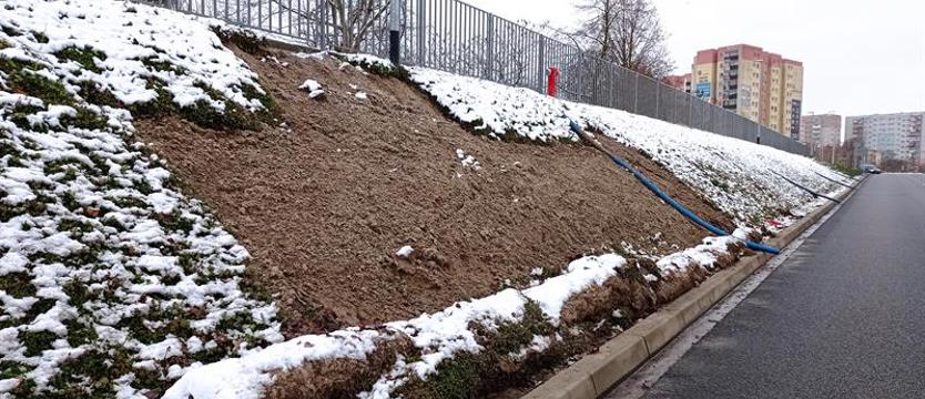 Zieleniec na skarpie znowu uszkodzony. Prawo (fatalnej) serii?