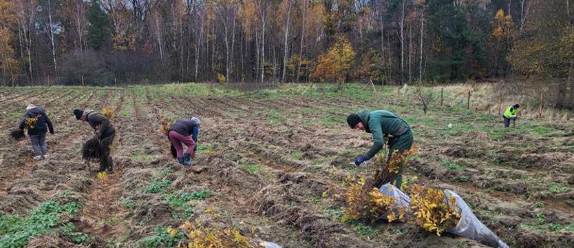 Lasy pod specjalnym nadzorem. Z zakazem wstępu – na lata