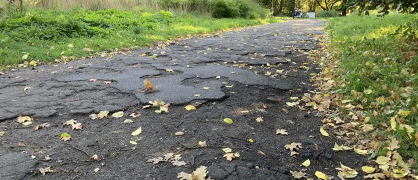 Alejki Żeromskiego. Żółwie tempo zmian – nawet nie kilometr rocznie