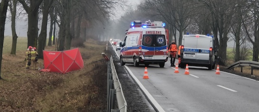 Wypadek pod Stargardem. Jeden z kierowców nie żyje