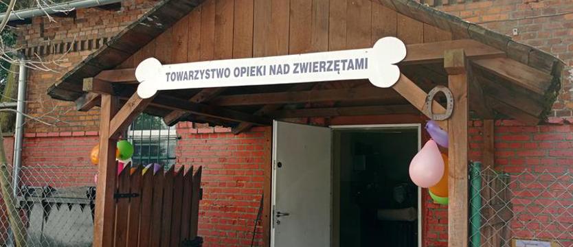 Szczecin pomaga zwierzakom
