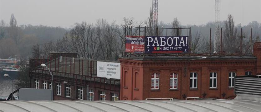 W jakich warunkach pracują Ukraińcy? Brak umów i wynagrodzenia