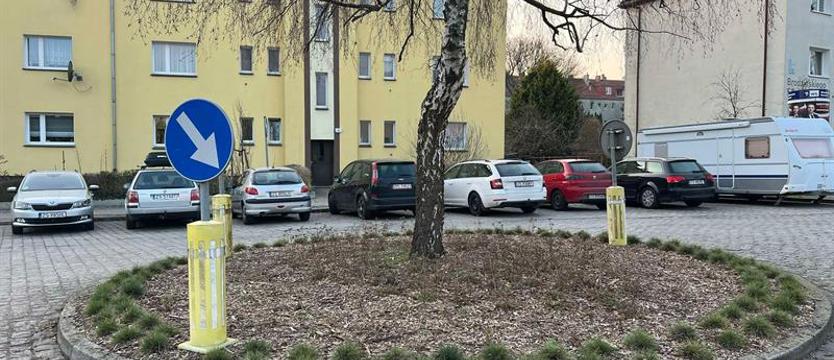 Zieleń zamiast betonu. Tym razem na Pogodnie