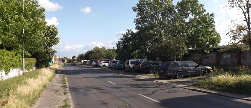 Ulica Wernyhory. Szczurze terytorium
