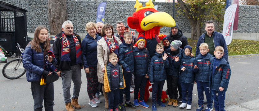 Krokusy zakwitną przy stadionie Pogoni!