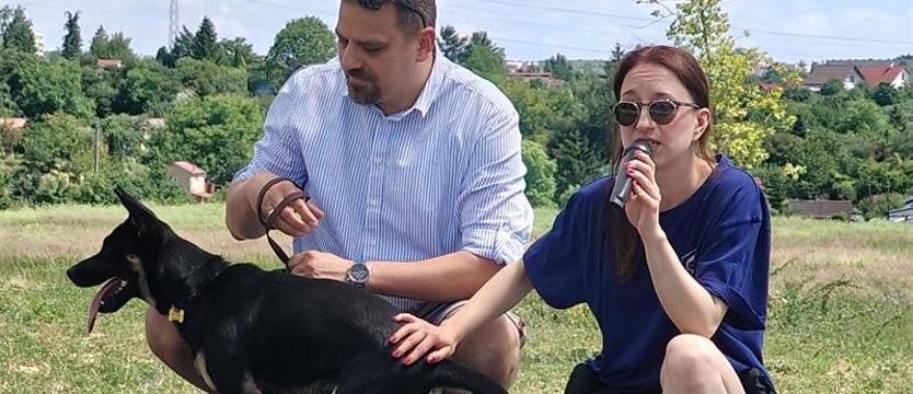 Dzień otwarty w szczecińskim schronisku. Adoptuj - nie kupuj!