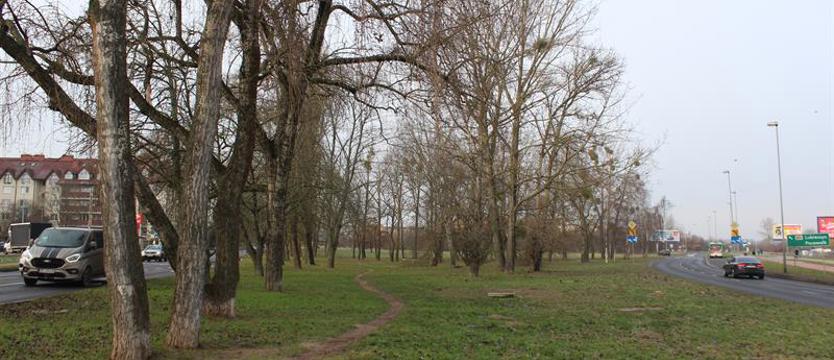 Tramwaj bez kolizji. Obwodnica się dostosuje?