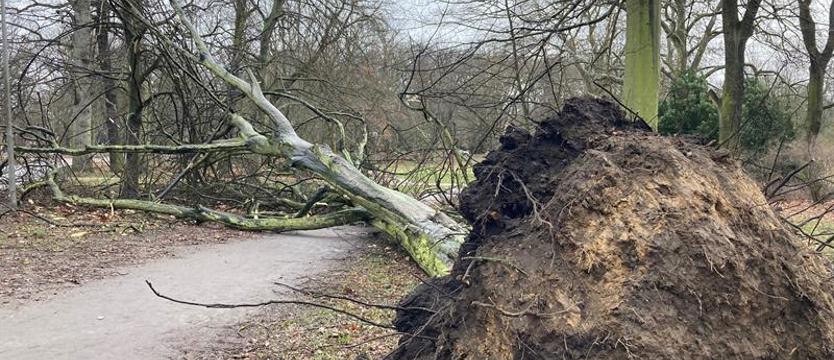 Ostrzeżenie meteorologiczne. W poniedziałek może silnie wiać w Zachodniopomorskiem