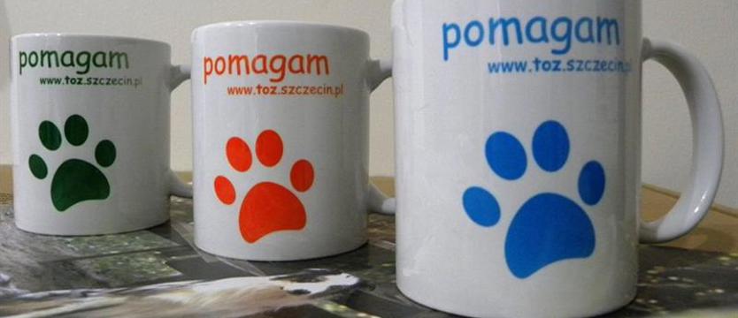 Nie tylko na kocią łapę. Towarzystwo Opieki nad Zwierzętami w Galerii Turzyn