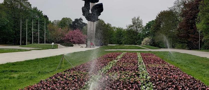 Trzy Orły nad begoniami. Cały Szczecin w kwiatach?