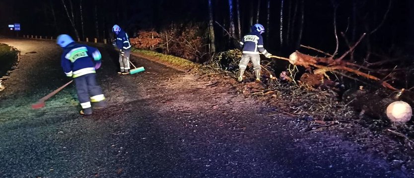 Silny wiatr powala drzewa na drogi w regionie