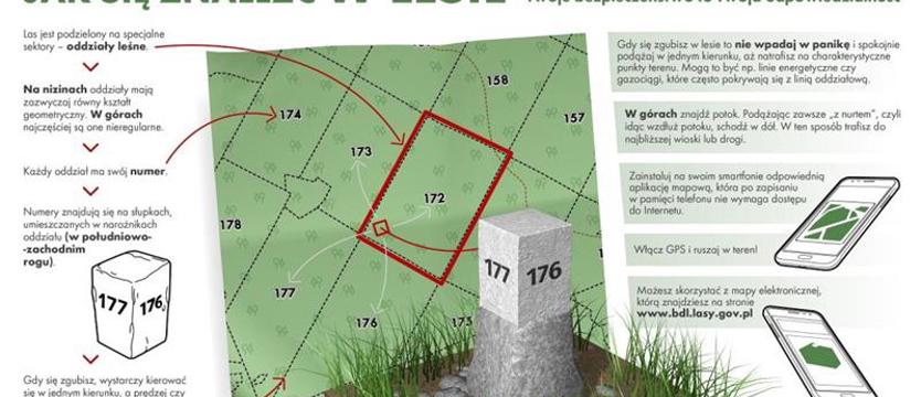 Dar natury w rękach człowieka. Jak racjonalnie korzystać z dóbr i zasobów lasu?