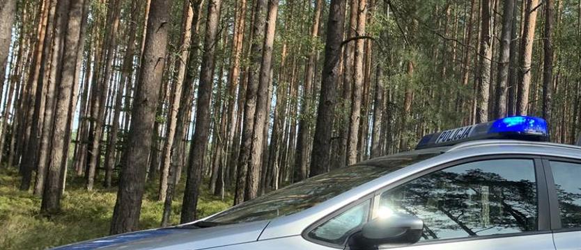 Odnalezione w lesie szczątki to prawdopodobnie zaginiona koszalinianka