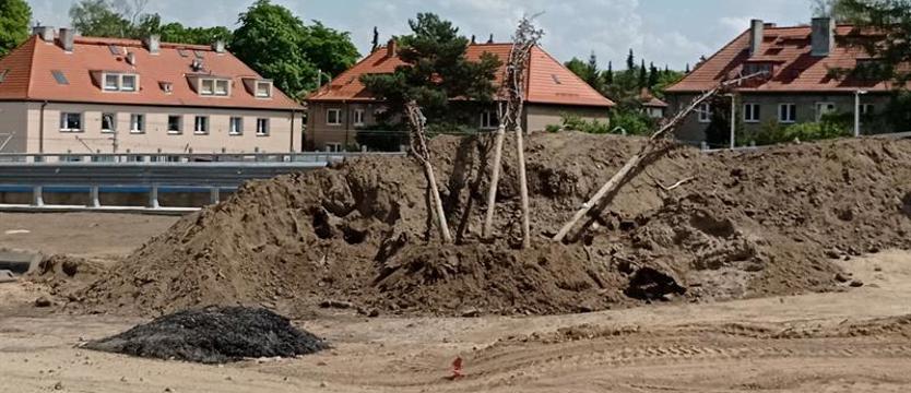 Zieleń (nie)zadbana