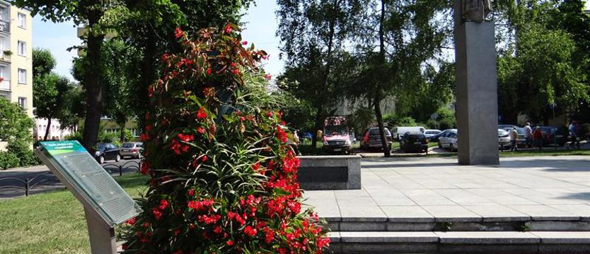 Pomnik zniknie z Dąbia. Na cmentarzu bez zmian