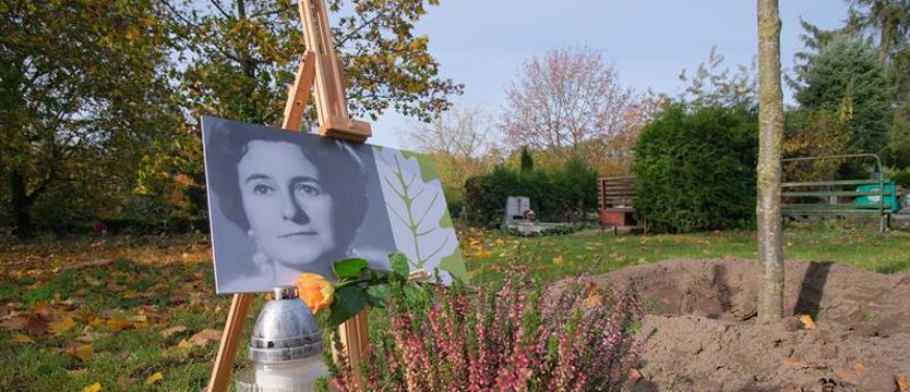Życiorysy zaklęte w dębach. Czas Przestrzeń Tożsamość – pamięć o Marii Frankel