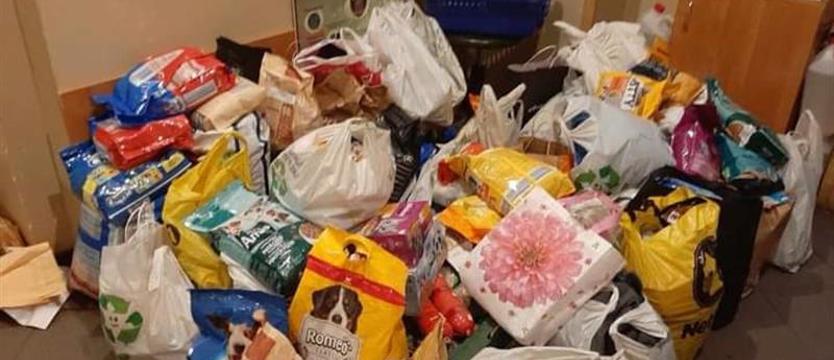 Ruszyła zbiórka darów. Dla zwierząt w potrzebie