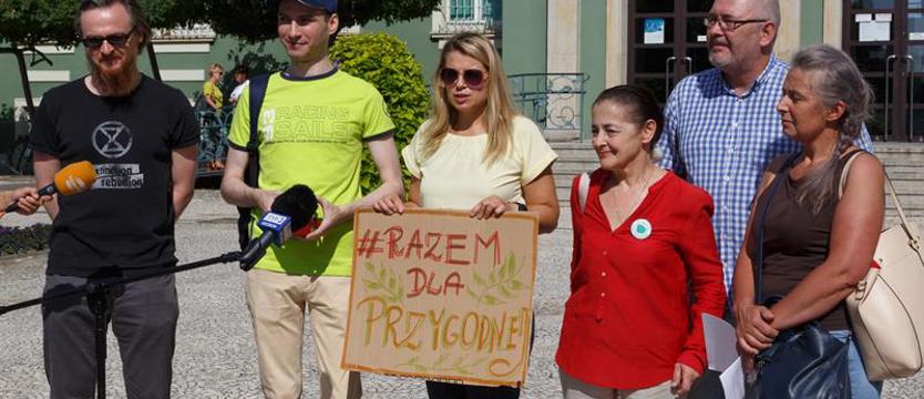 Zielony marsz na magistrat