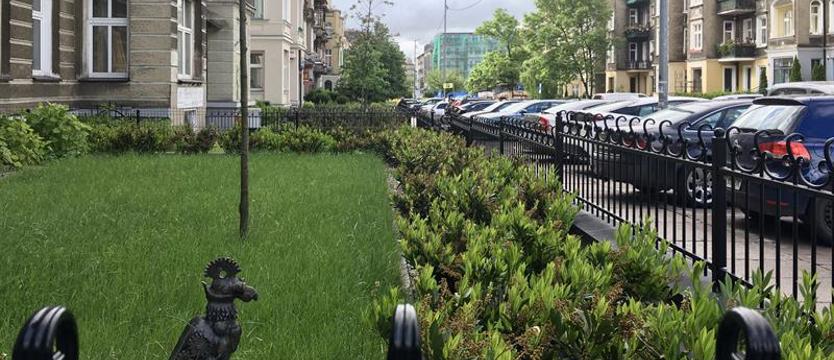 Więcej zielonych podwórek. Są pieniądze – będą inwestycje