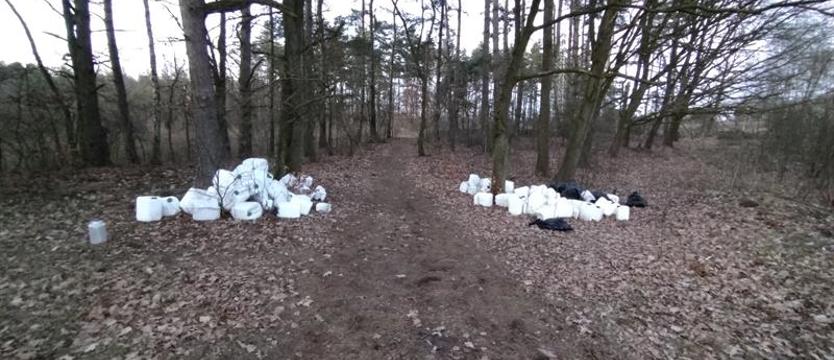 Traktują lasy jak wysypiska