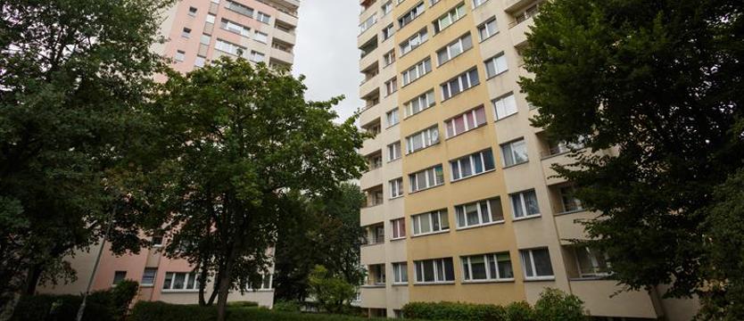 Niedziela na zielonym szlaku