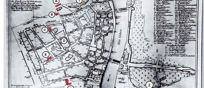 Dżuma, tyfus i cholera w Szczecinie