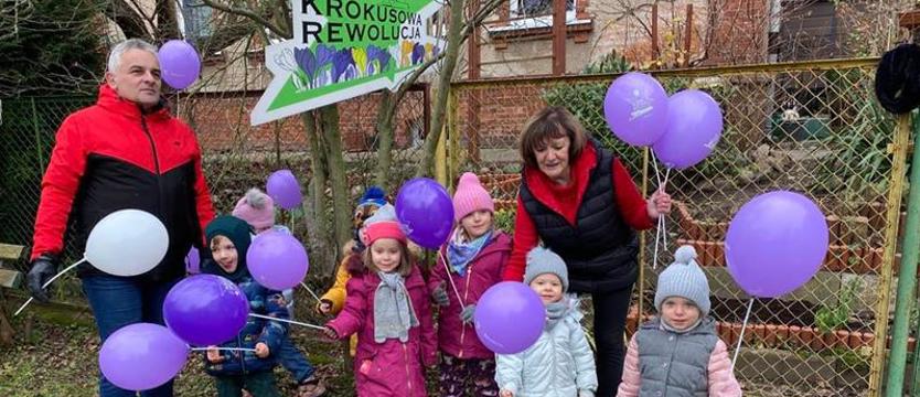 Krokusy (nie tylko) dla Szczecina. Moc pozytywnej energii – w społecznej akcji