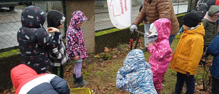 Odkrywcy, podróżnicy i krokusy. Albercik i moc dobrego
