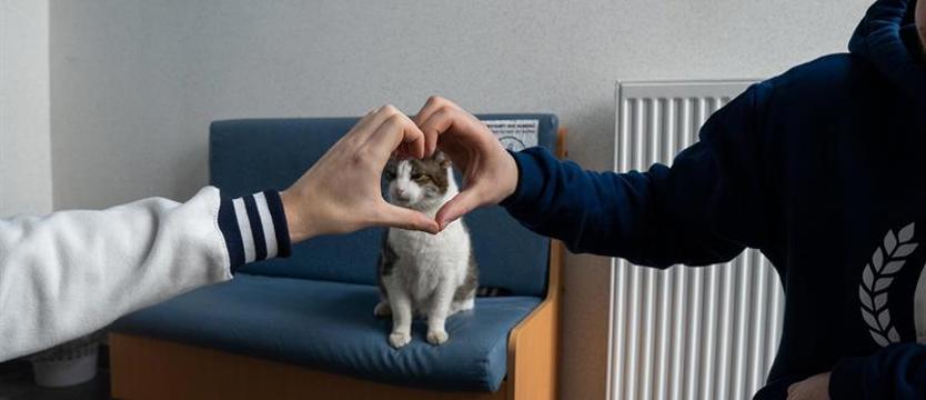 Uczelniany pupil odszedł za "tęczowy most"