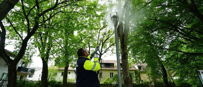 W szczecińskich parkach będzie jaśniej