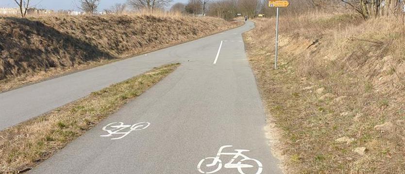 Awantury na drodze dla rowerów. Cykliści, piesi, wrotkarze, psy i… motocyklista