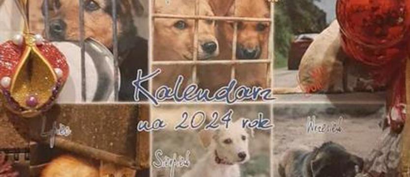 Kalendarz nadziei. Pomoc dla Towarzystwa Opieki nad Zwierzętami