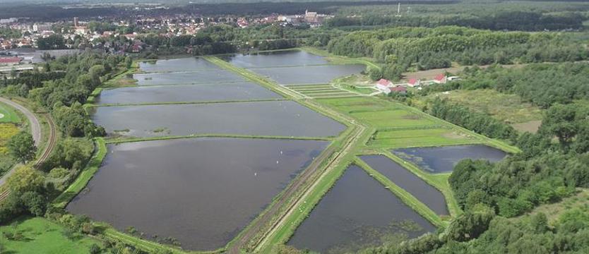 Informacje o Okręgu PZW w Szczecinie