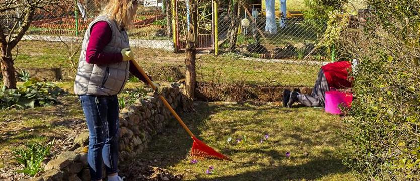Ogrody działkowe budzą się do życia. Czas na pierwsze prace i wysiewy