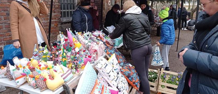 Wiosna i serca dla zwierząt. Piknik charytatywny TOZ